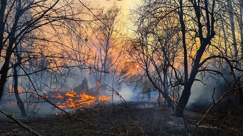 Spanish Fire Brigade Gets Forest Fires Under Control