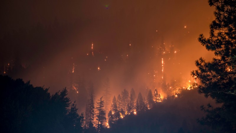 Nearly 1,600 Evacuations Due to Fire in Yosemite Park