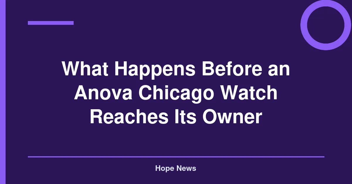 What Happens Before an Anova Chicago Watch Reaches Its Owner