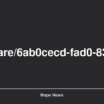 https://chatgpt.com/share/6ab0cecd-fad0-83e8-bf07-3d693264e2e2